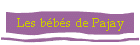 Les bbs de Pajay