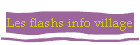 Les flashs info village